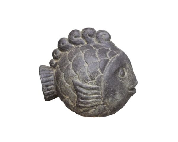 Fisch 30cm